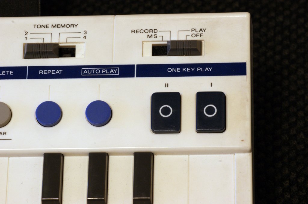 DSC04262.JPG - Tthe two dark-blue "one key play" buttons.