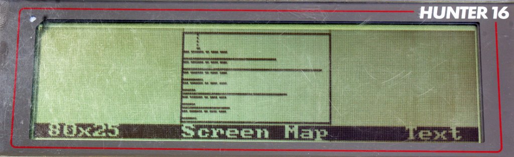 DSC07855.JPG - This is the screen map given by pressing - (paw) and M keys. It is just a small graphical display of the place taken by the text lines.